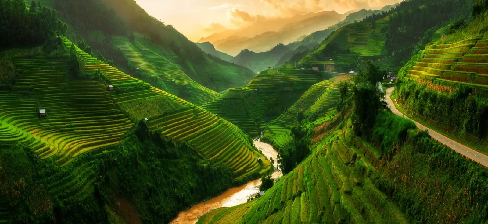 Campos de arroz, Vietnam